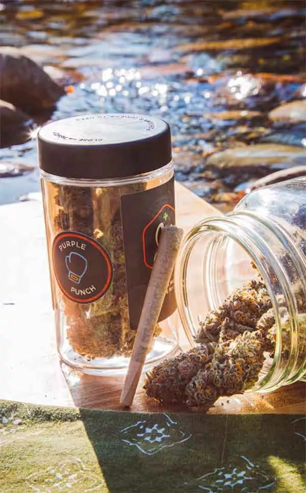 JAR pre-rolls by a Maine river