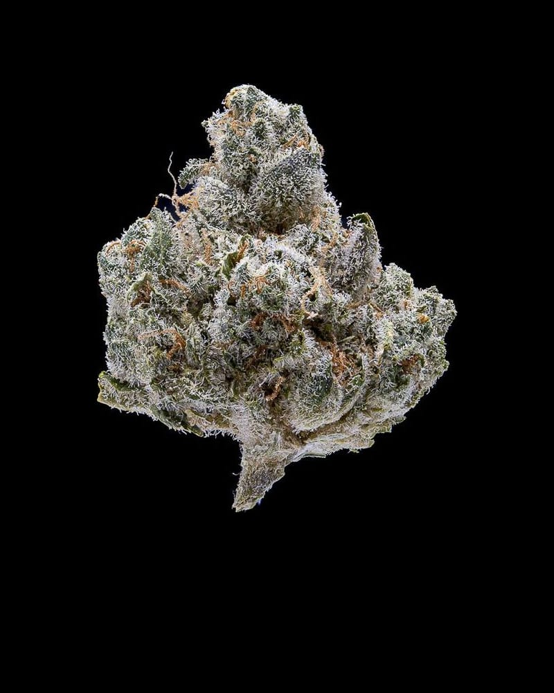 Clementine Kush