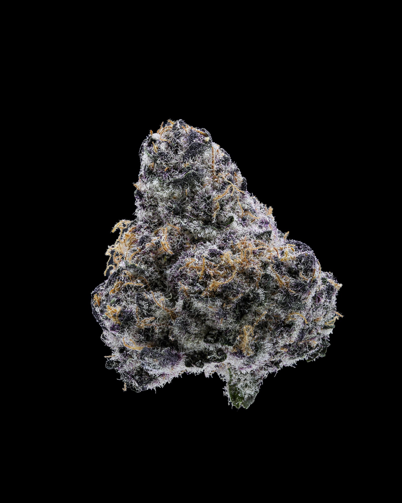 Blockberry flower