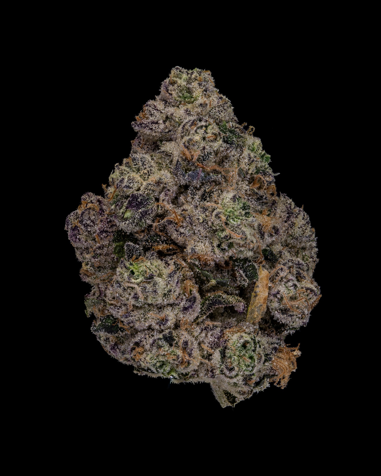 Double Solo Burger #5 flower