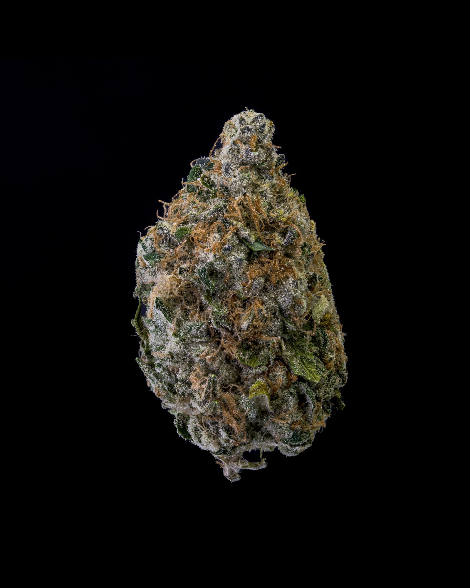 Kosher Dawg flower