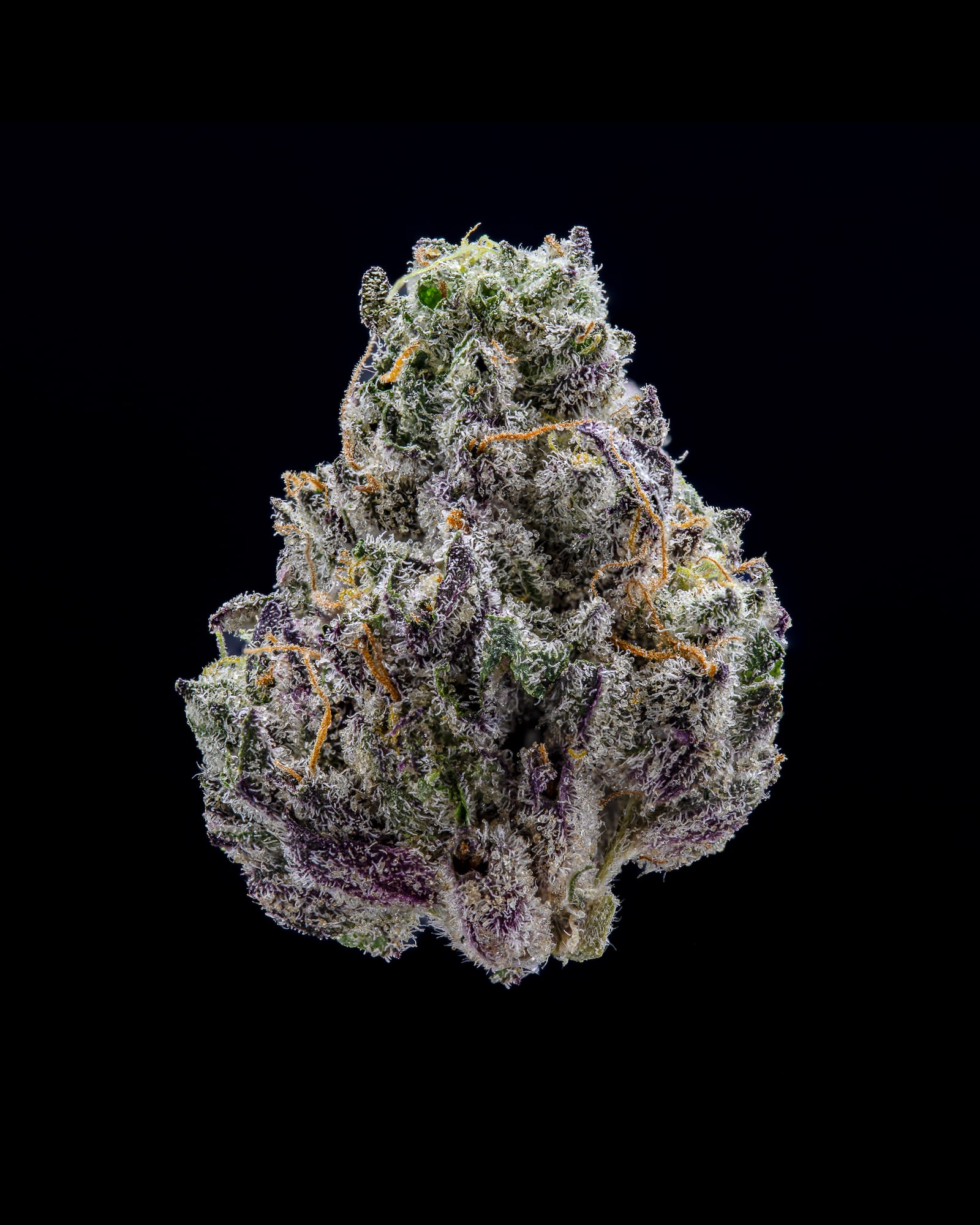 Lemon Icee flower