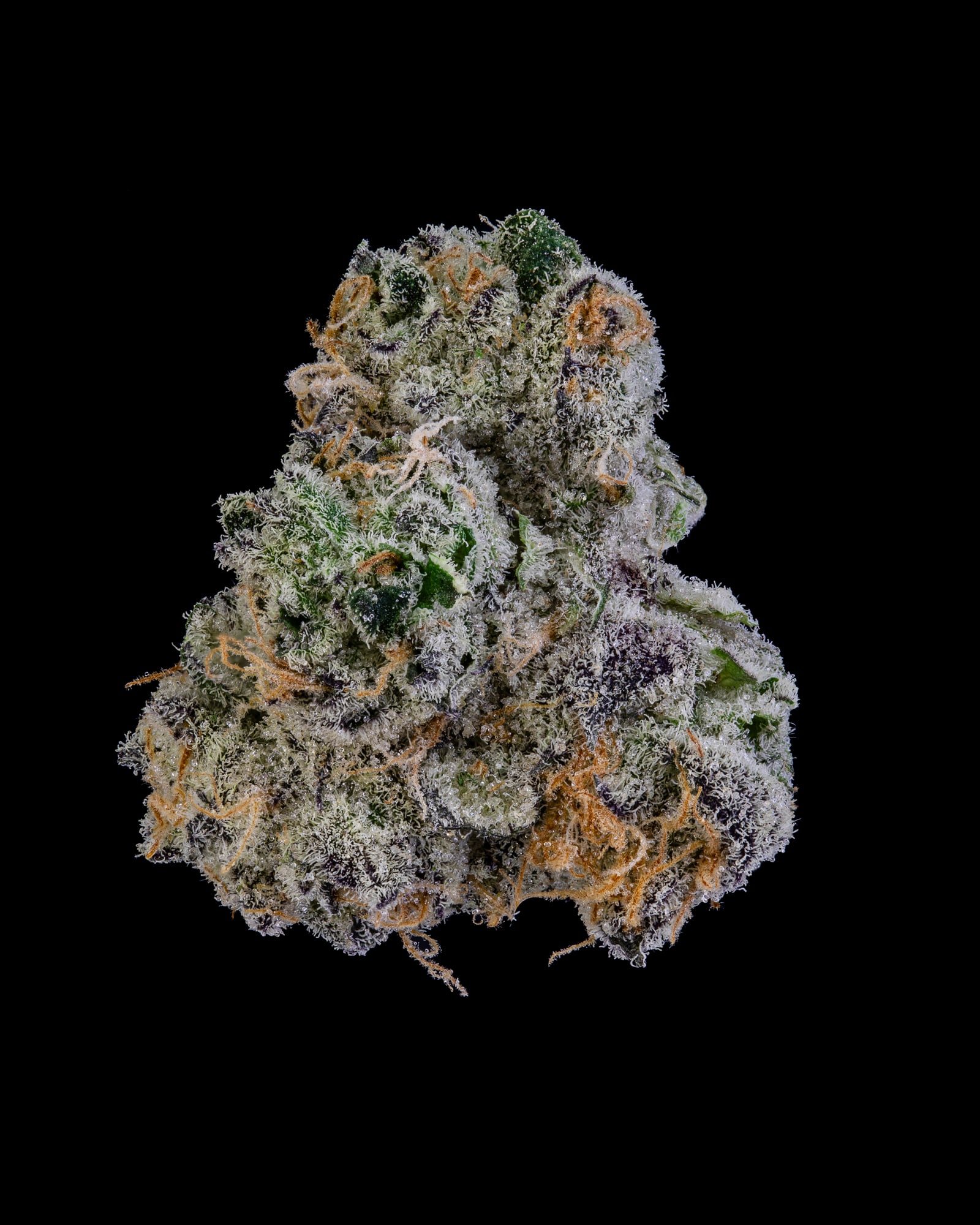 Mule Fuel flower