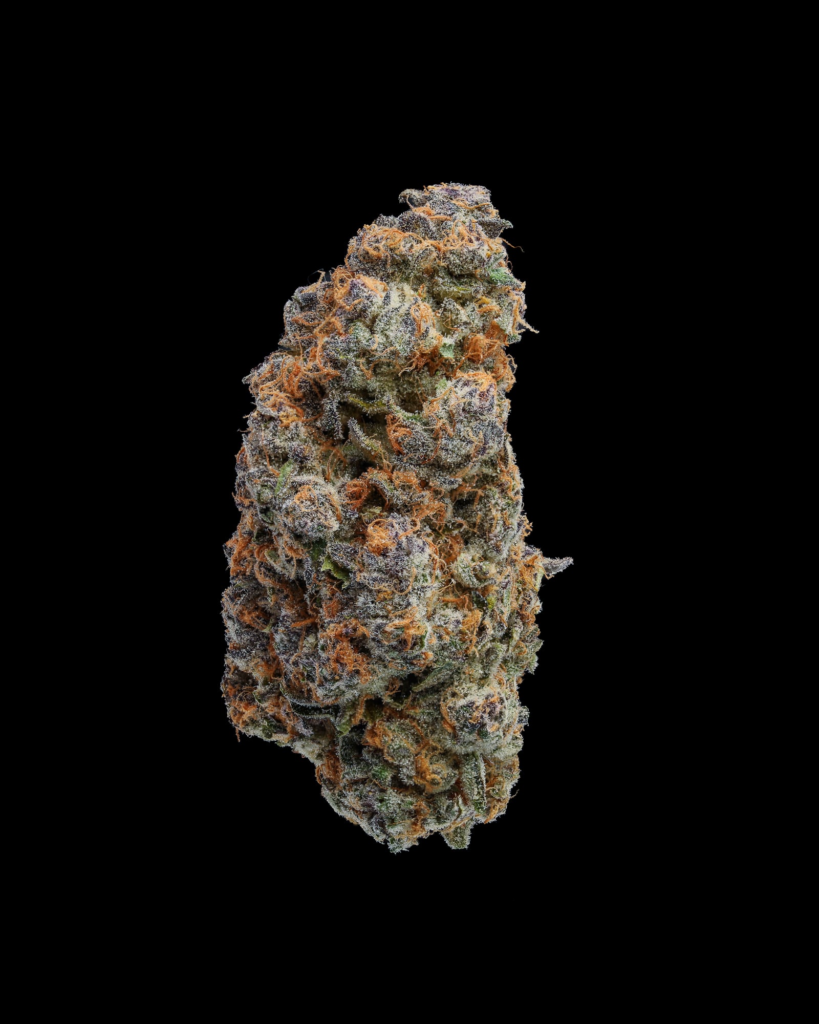 Super Boof flower