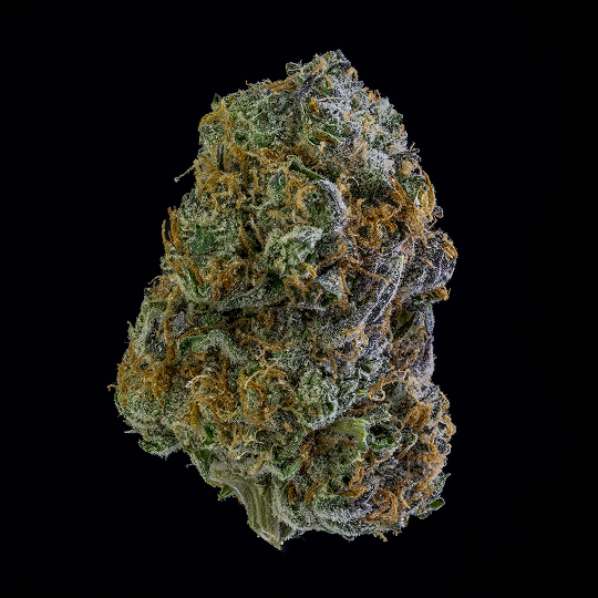 The Big Dirty flower