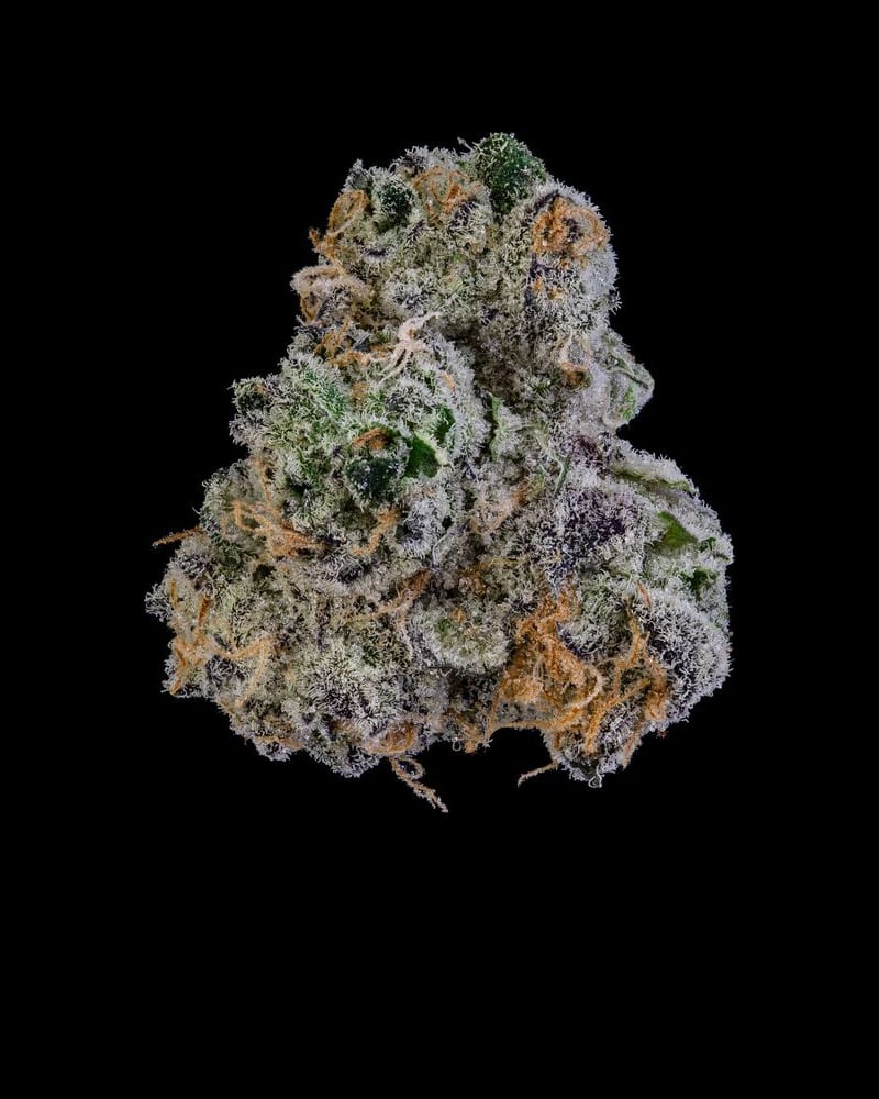 Mule Fuel