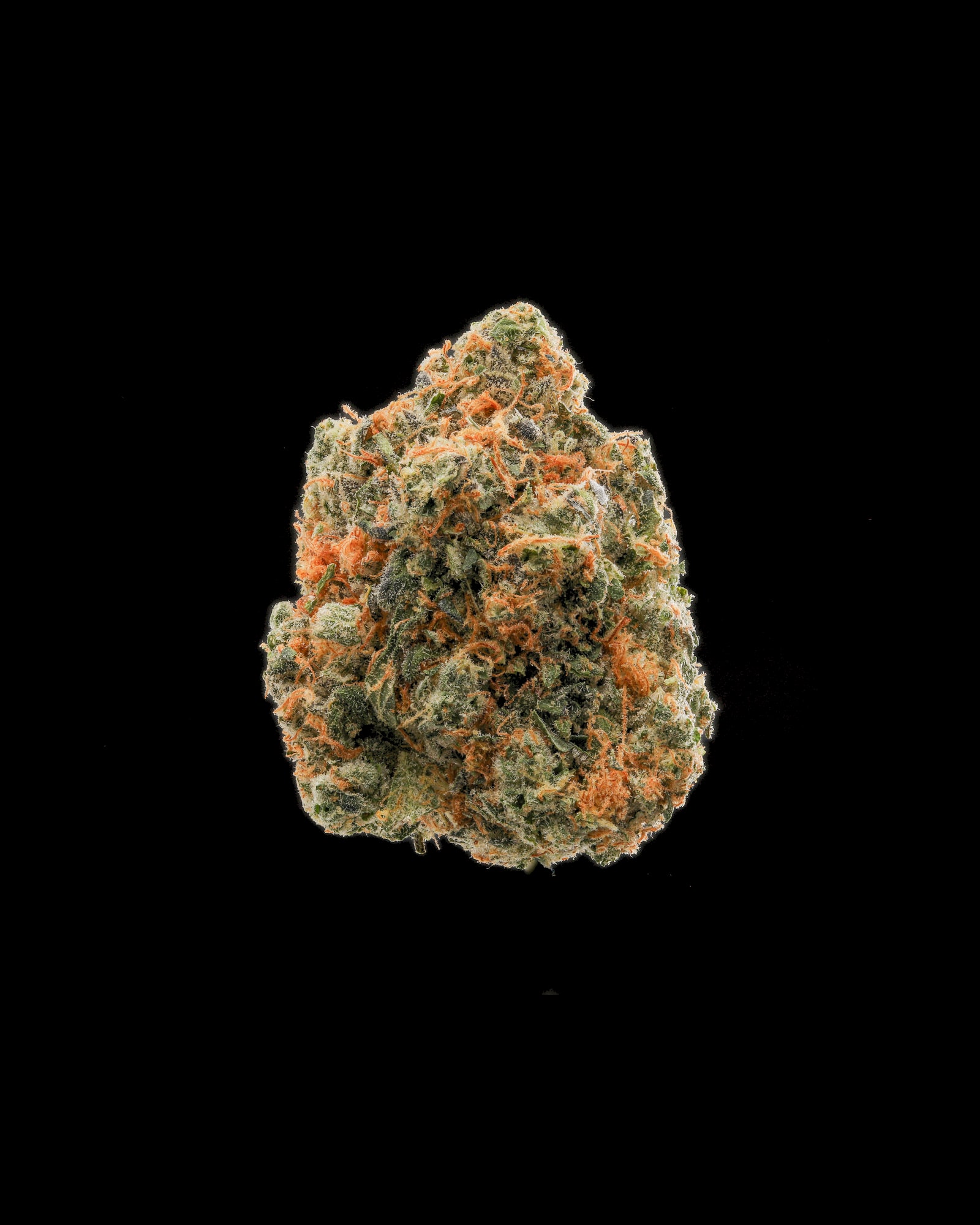 Citrus Scout flower