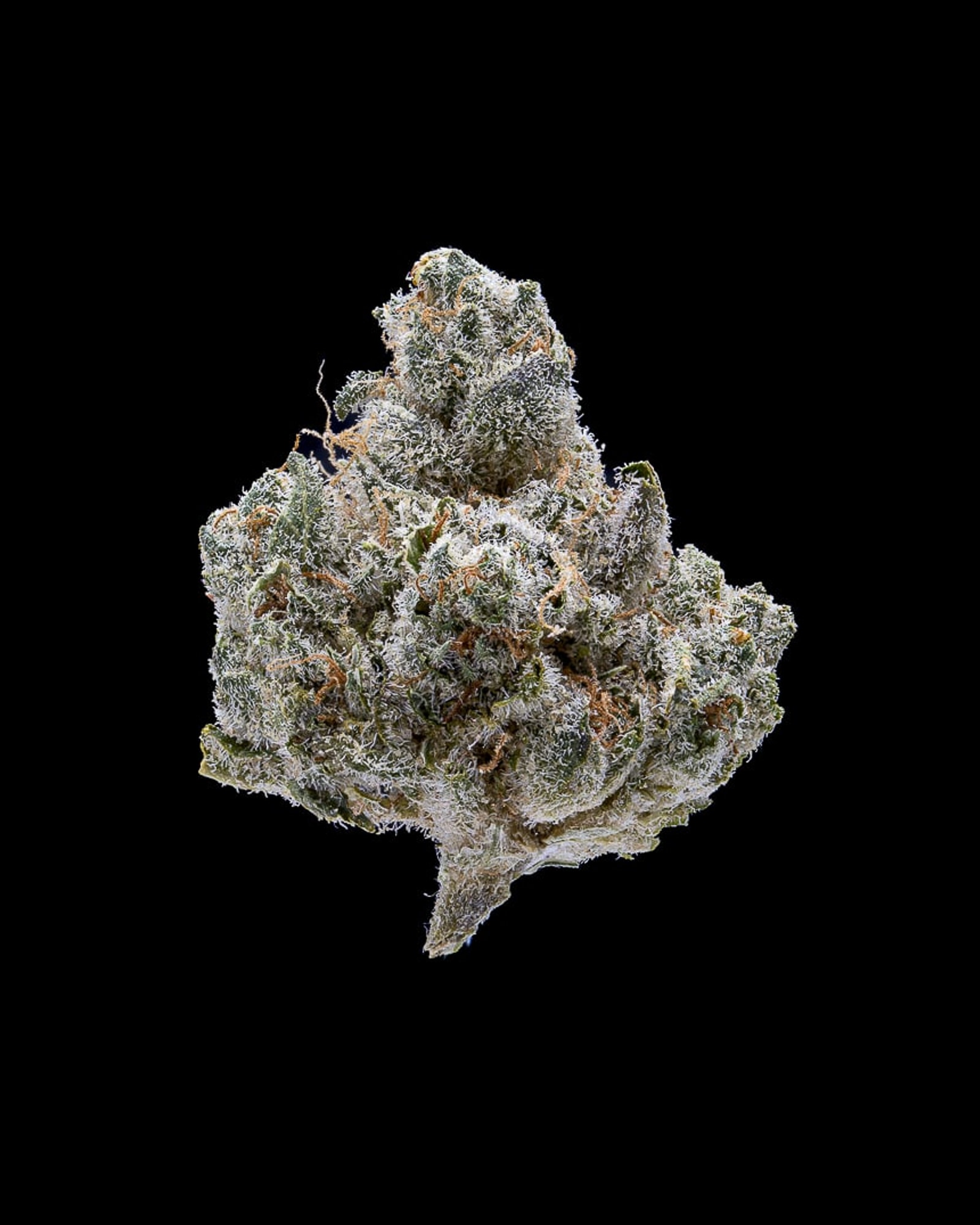 Clementine Kush flower