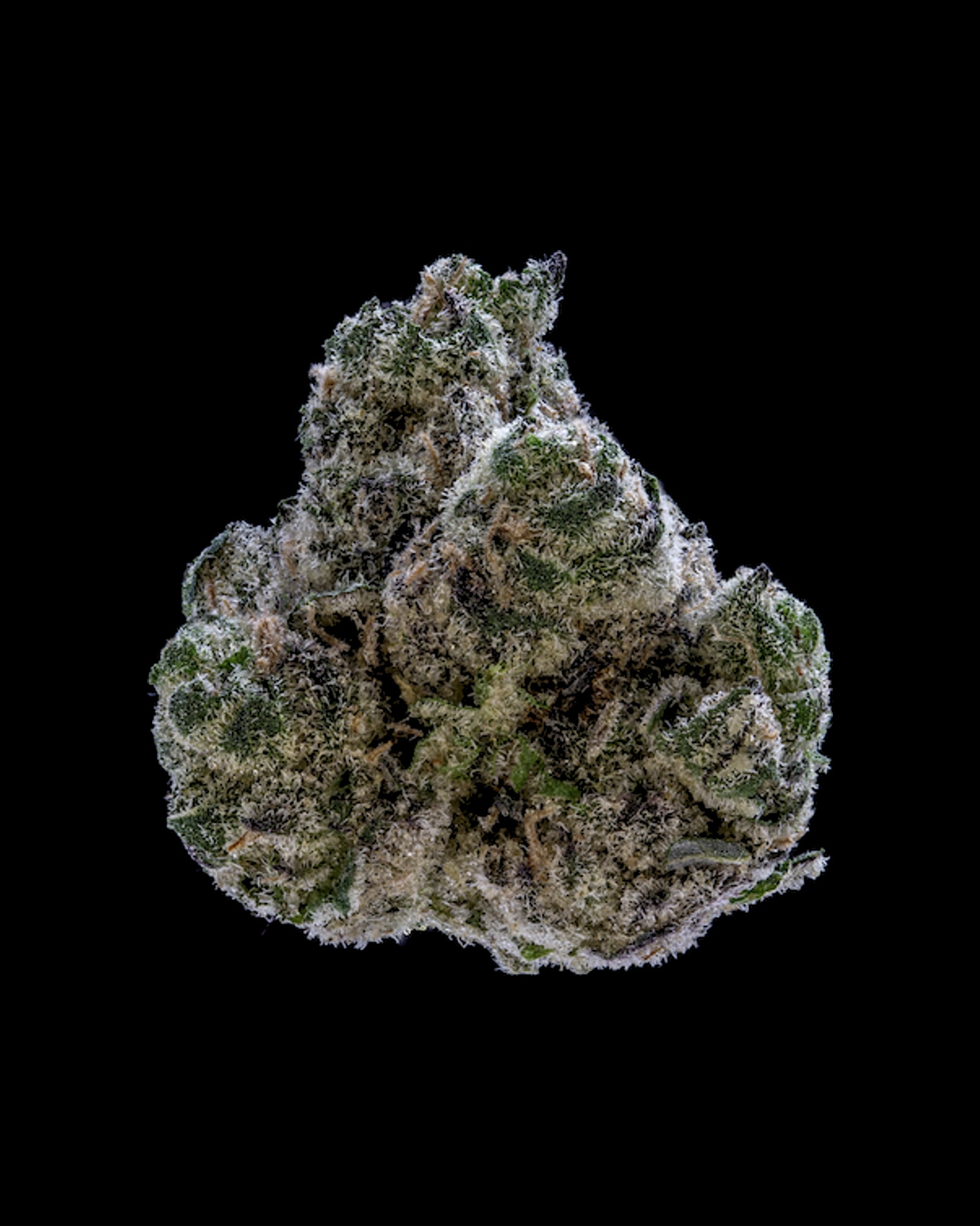 Grape Gas flower