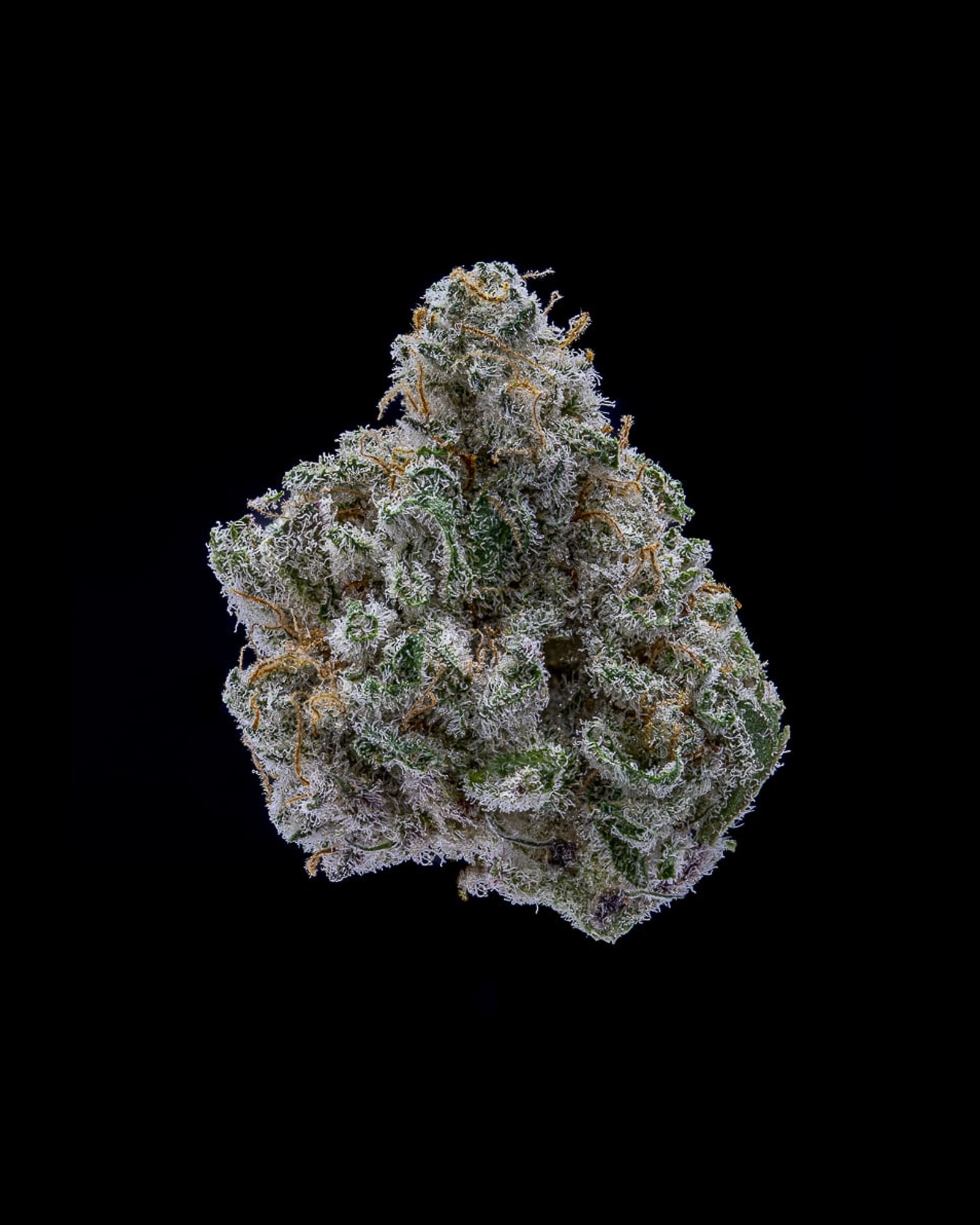 Mac One flower