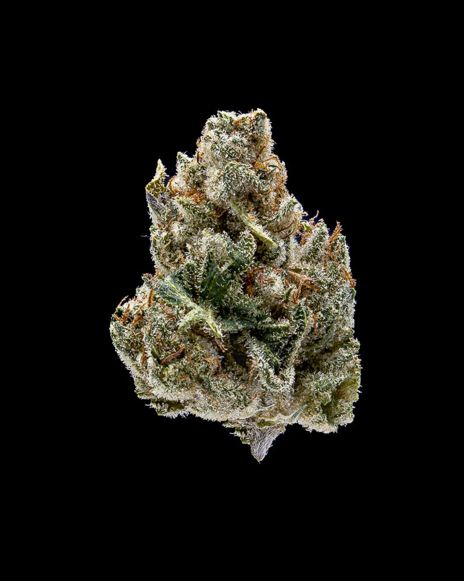 Motorbreath flower