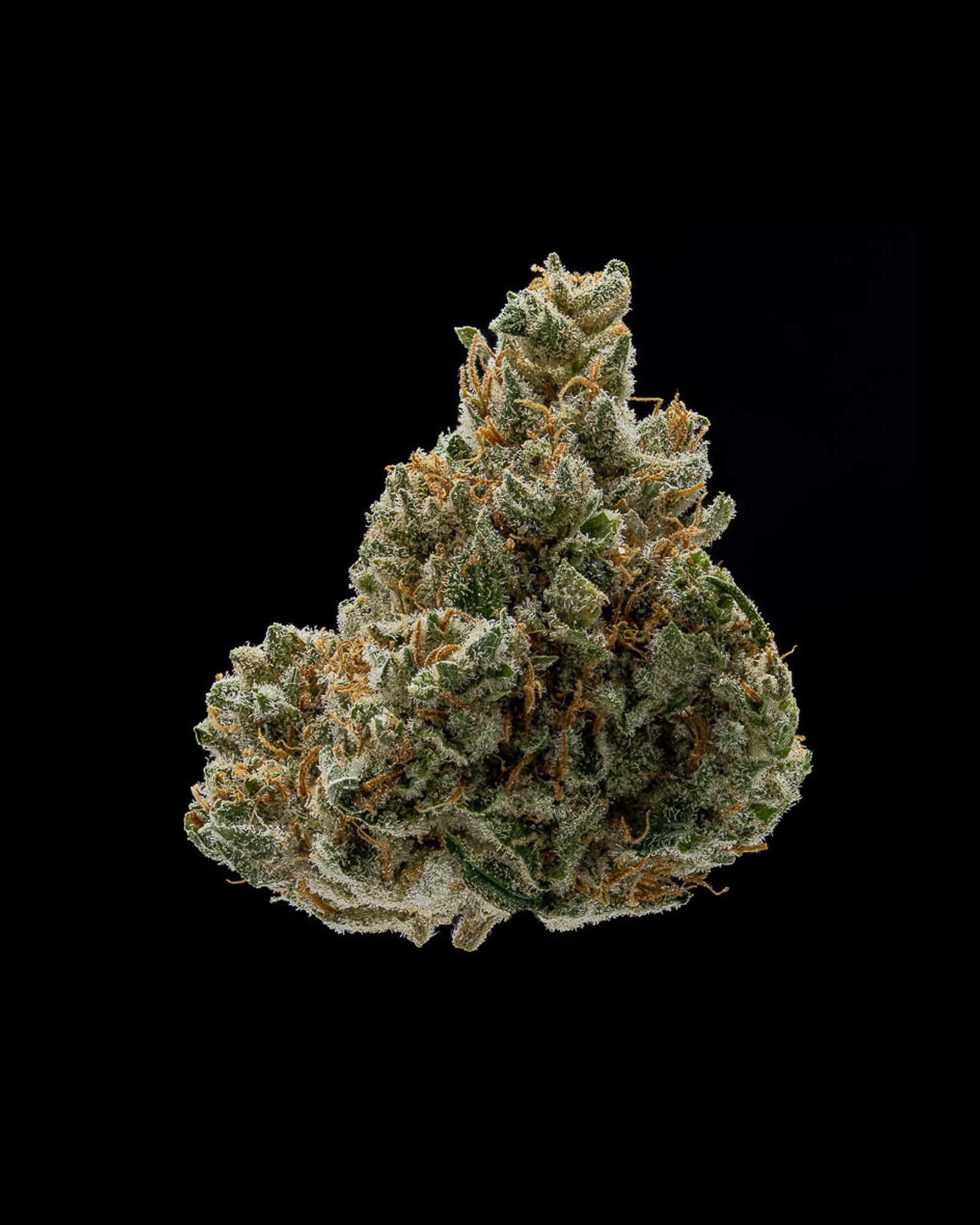 Silver Kush flower