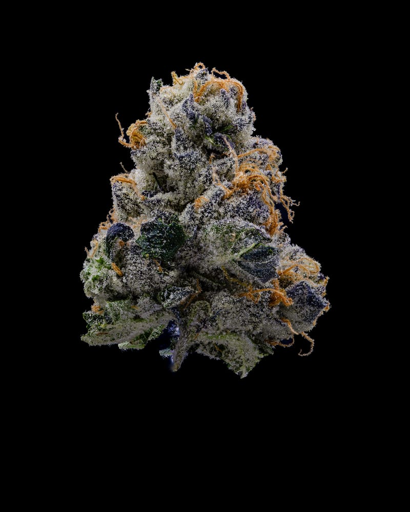 Wedding Pie