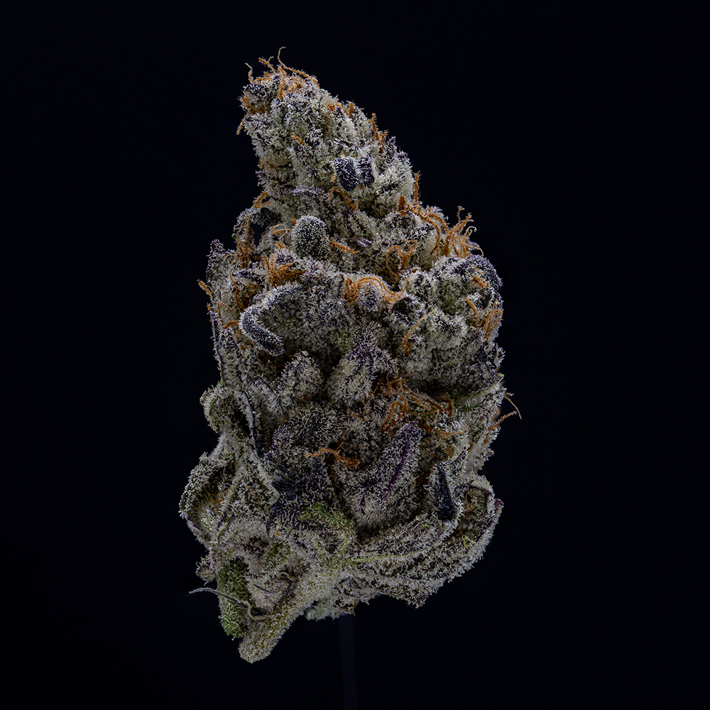 Macro shot of Devil Driver, a bold pick on our favorite strains list