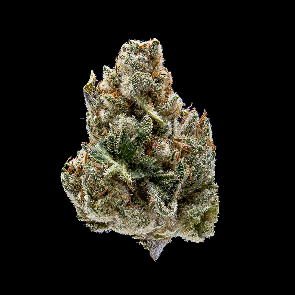 Close up of Motor Breath showing gas forward details that make it a favorite strain