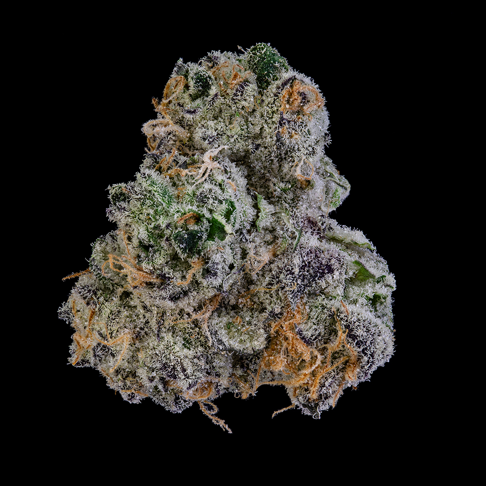 Macro image of Mule Fuel cannabis, a top favorite strain in Maine