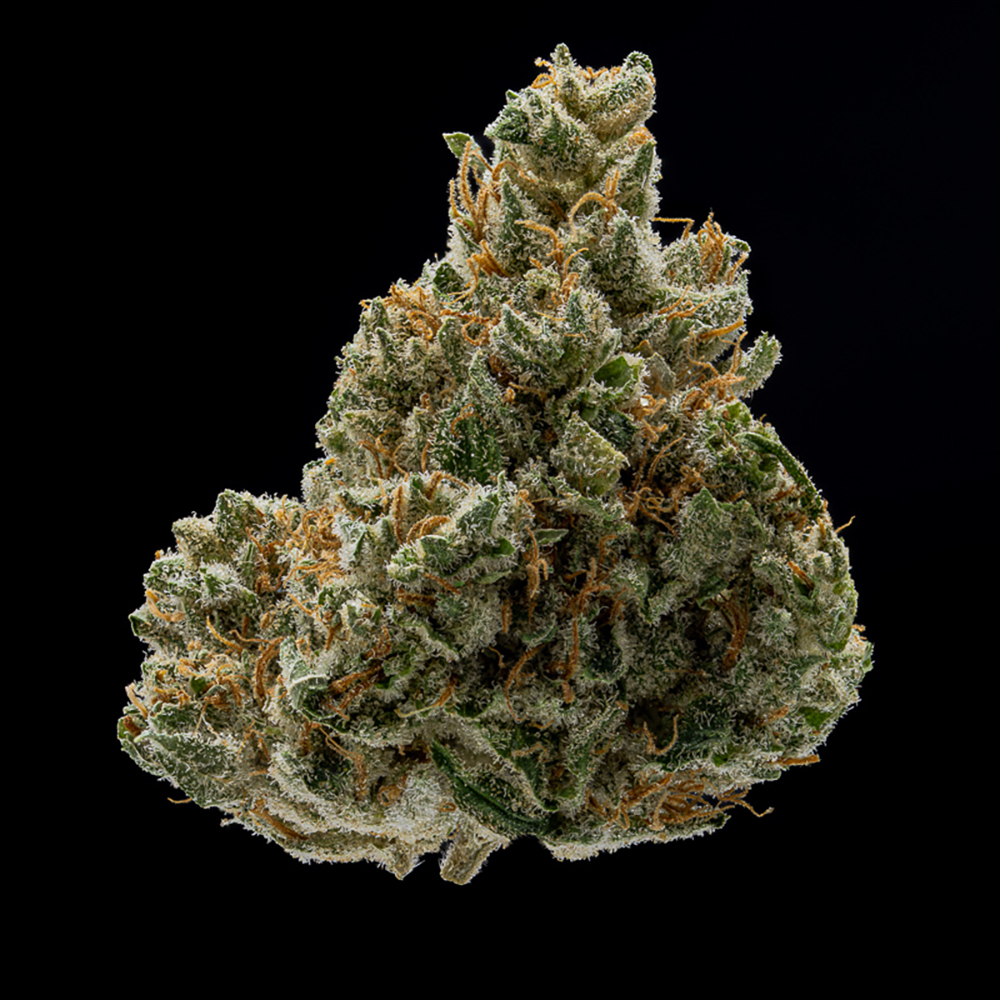 Silver Kush cannabis flower from JAR Cannabis, one of our favorite strains