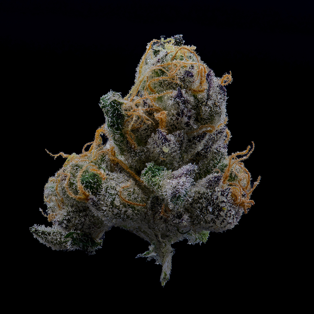 Macro image of Wedding Pie showcasing why it is a favorite strain among customers